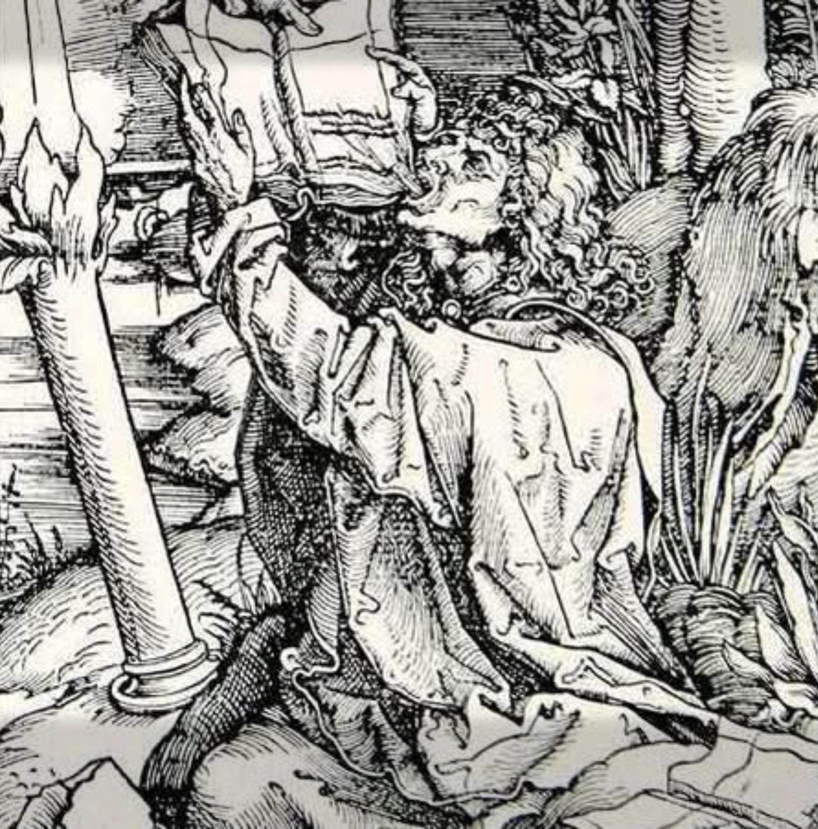 Albrecht Dürer print used by David as a personal profile image
