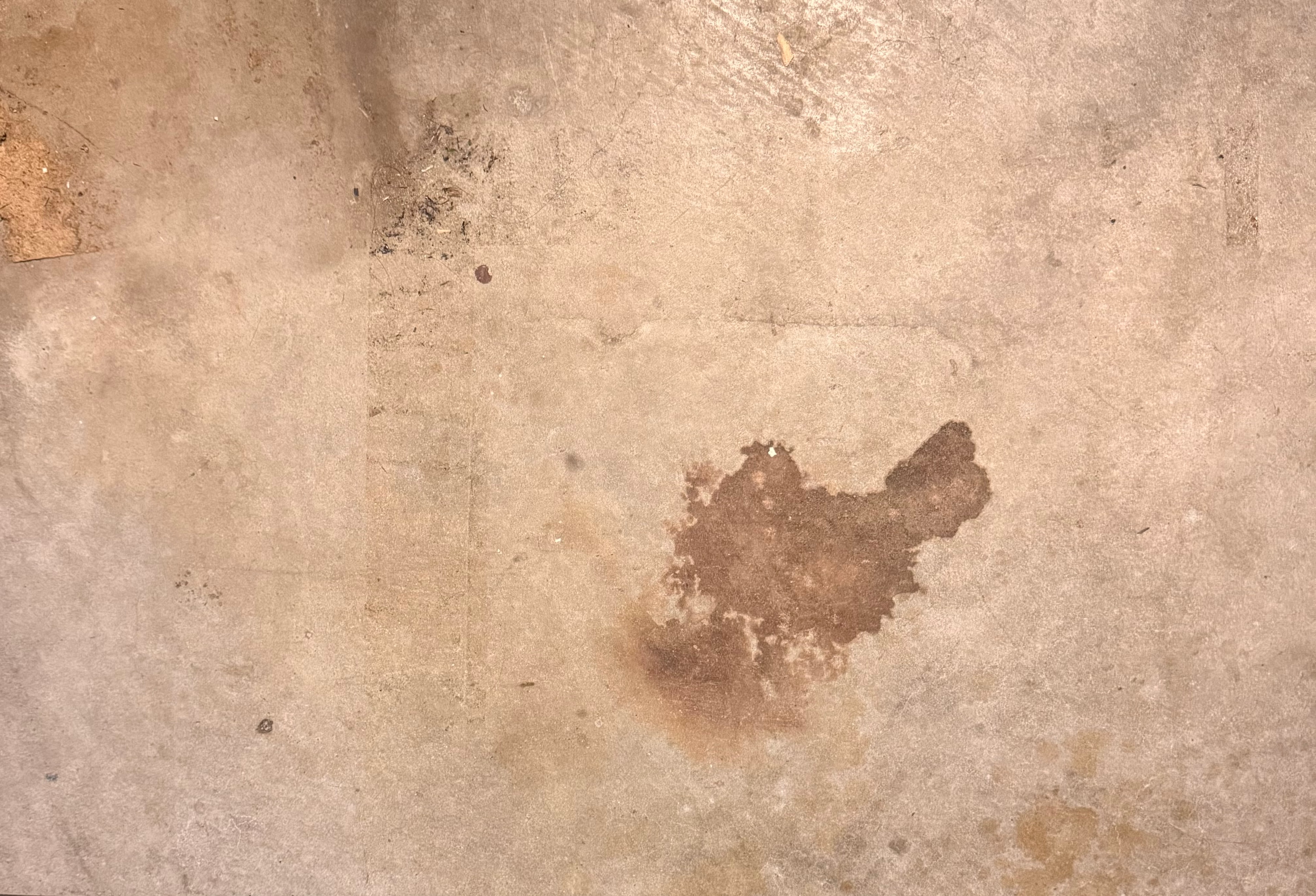 The original stain on a concrete floor that started the series