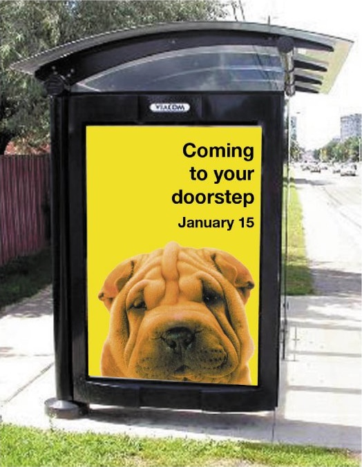 Verizon Yellow Pages bus shelter campaign: a Shar-Pei beneath the message Coming to your doorstep