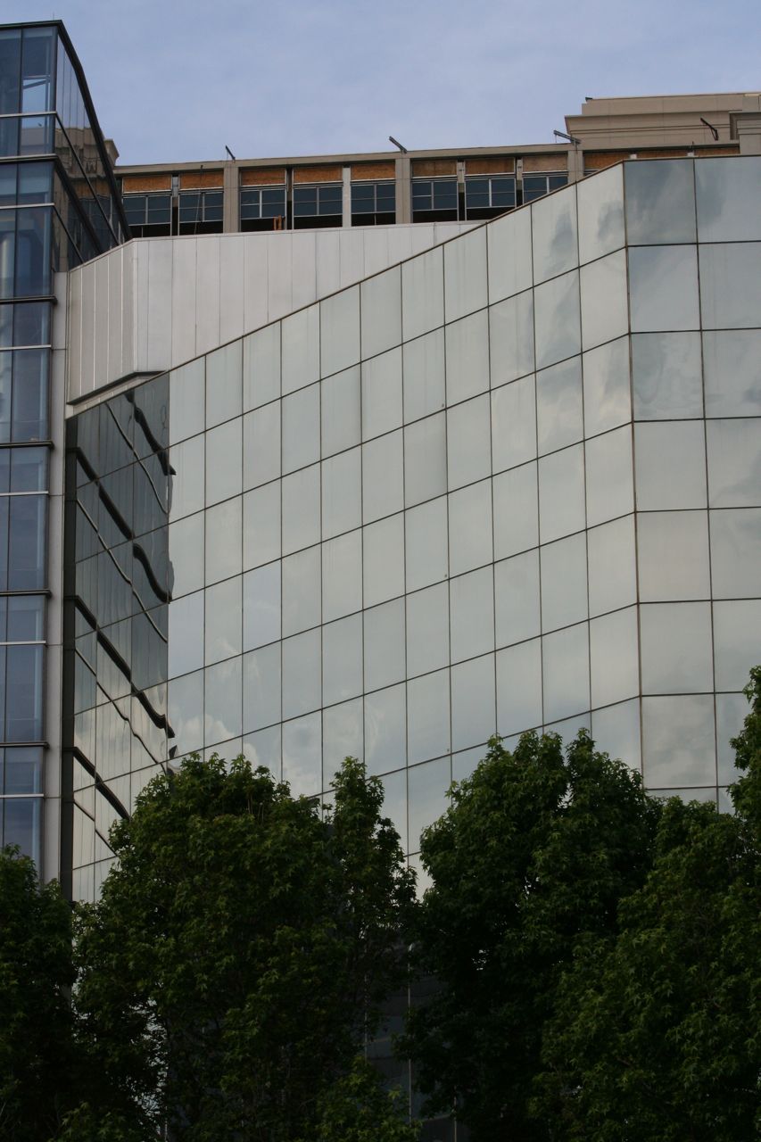 Mirrored building facade rising behind a tree line