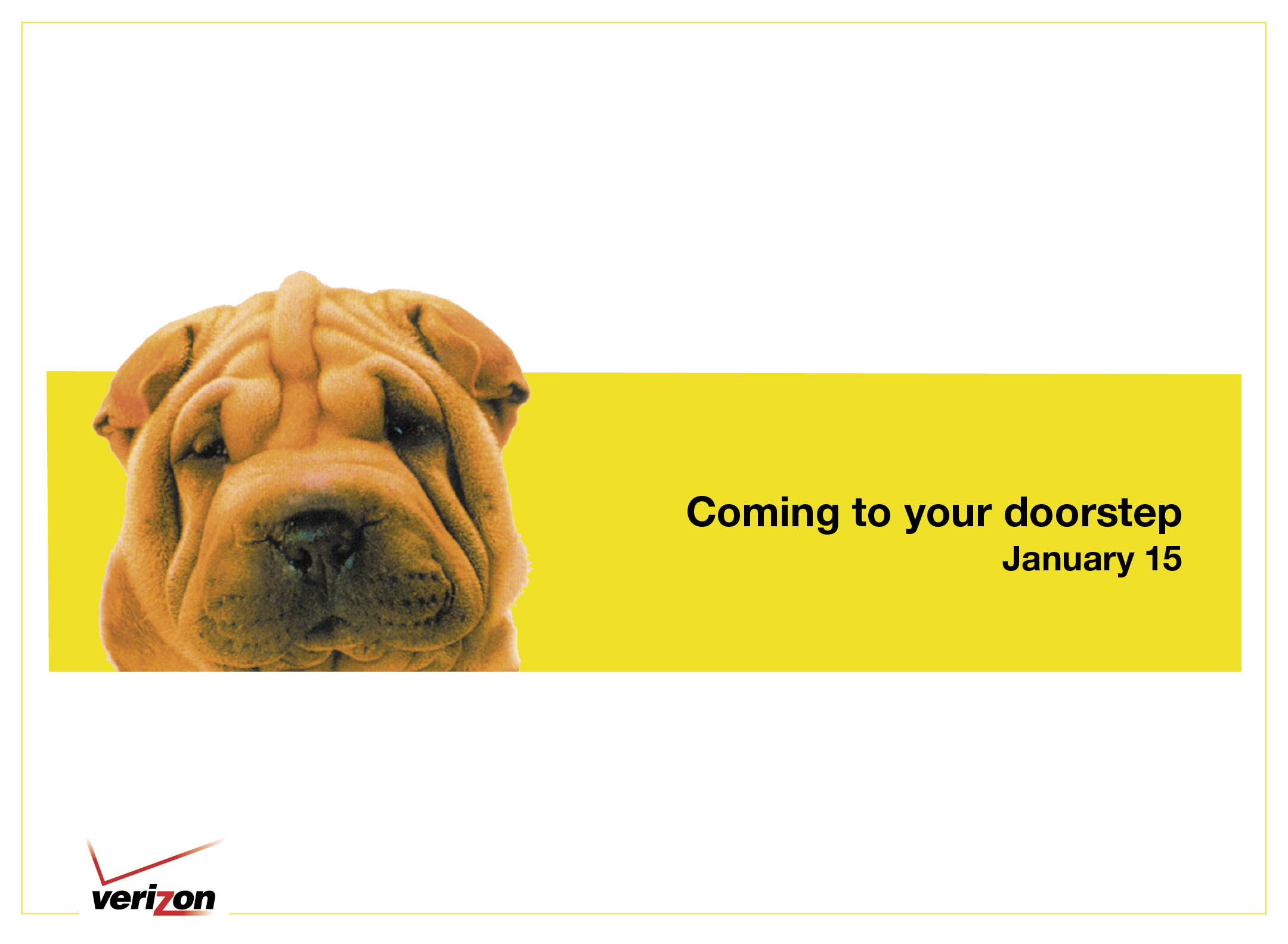 Shar-Pei beside a yellow banner reading Coming to your doorstep January 15