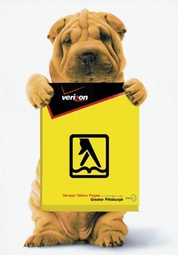 Shar-Pei holding a yellow Verizon directory