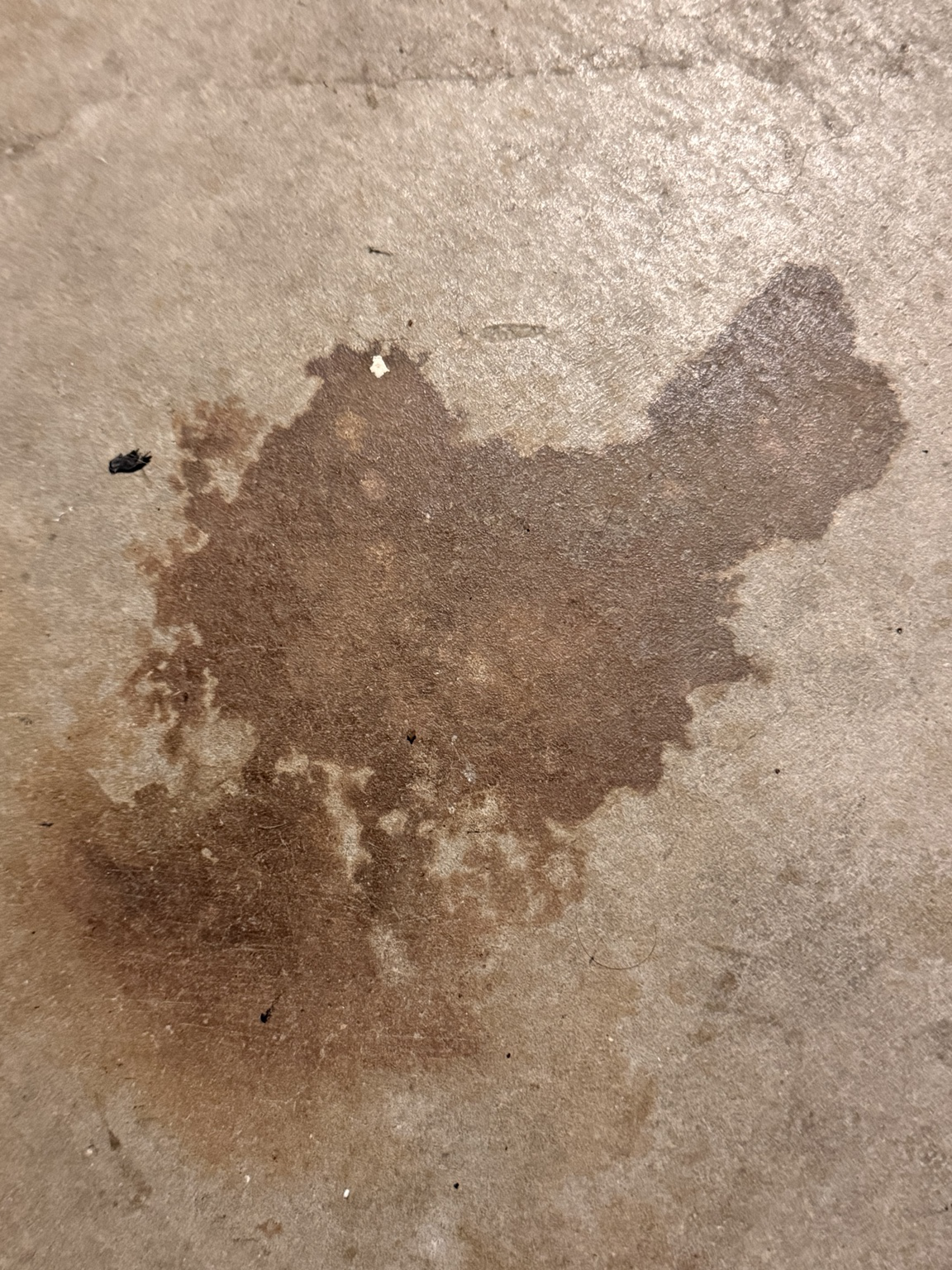 Original concrete stain resembling a chicken
